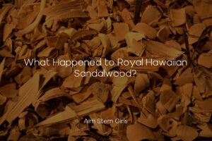 What Happened to Royal Hawaiian Sandalwood?