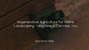 Regenerative Agriculture for Home Landscaping --and How it Can Help You